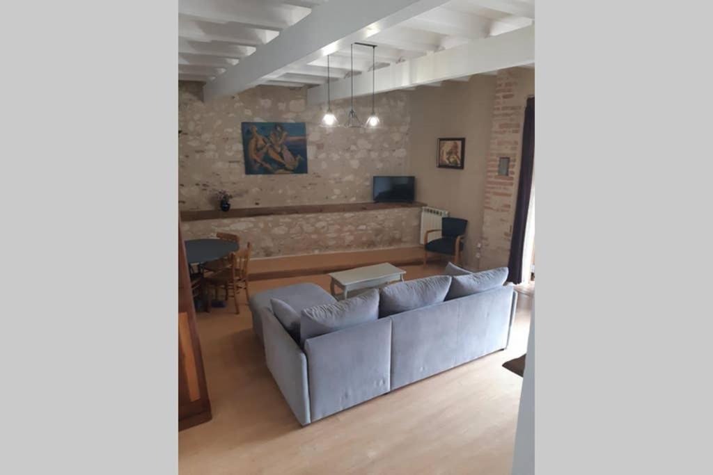 Charmant Appartement Vue Sur La Riviere. Αλμπί Εξωτερικό φωτογραφία