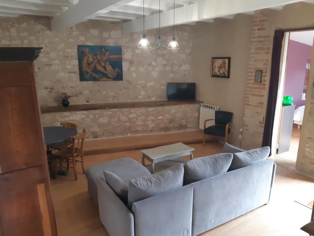 Charmant Appartement Vue Sur La Riviere. Αλμπί Εξωτερικό φωτογραφία